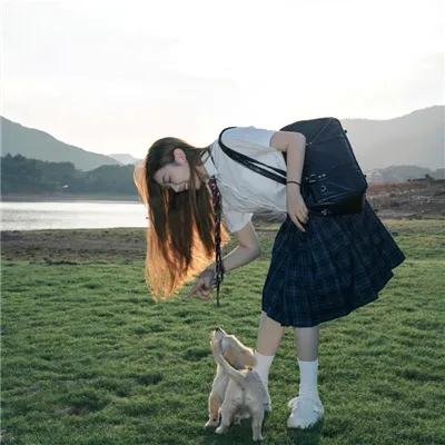 傲骨贤妻第六季